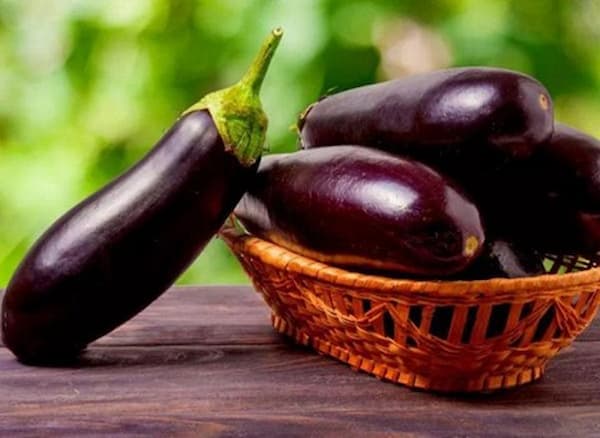 تصویر 1 از قیمت خرید بادمجان لامپی اصفهان + فروش ویژه